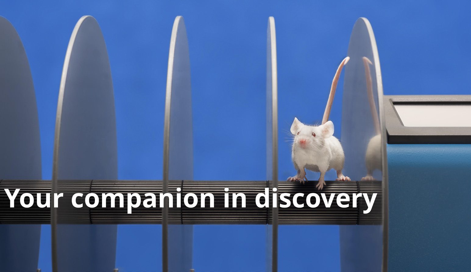 Ugo Basile - Your companion in discovery